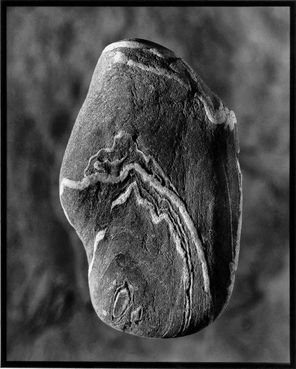 Schwarz-Weiß-Fotografie: länglicher Stein mit heller, geschwungener Aderung