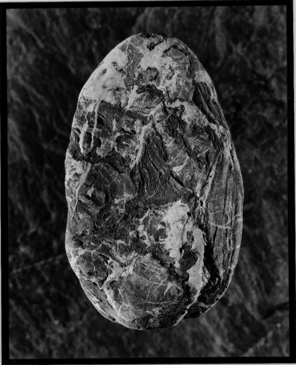 Schwarz-Weiß-Fotografie: ovaler Stein mit marmorierter Zeichnung
