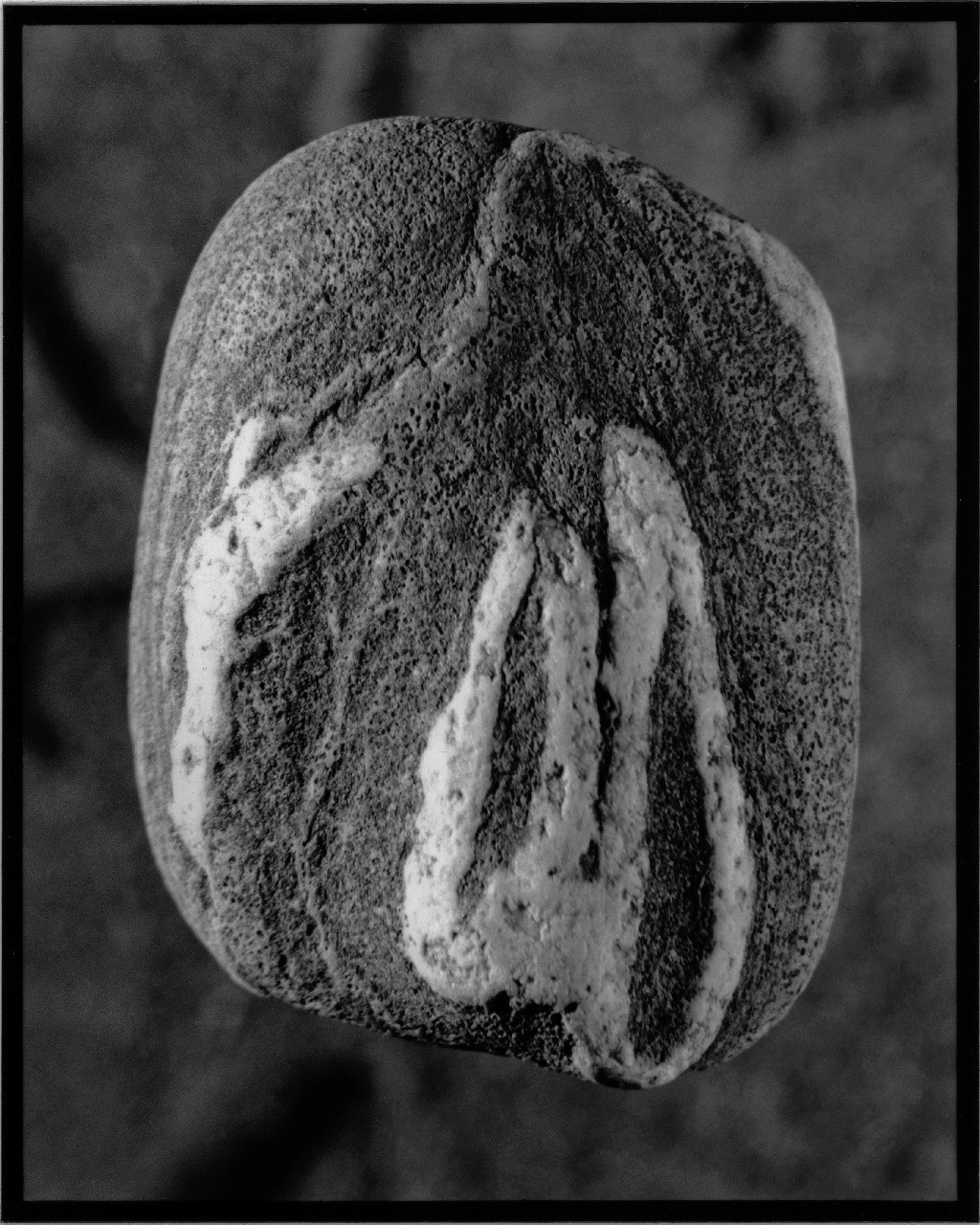 Schwarz-Weiß-Fotografie: Stein mit hellen, senkrechten Einschlüssen